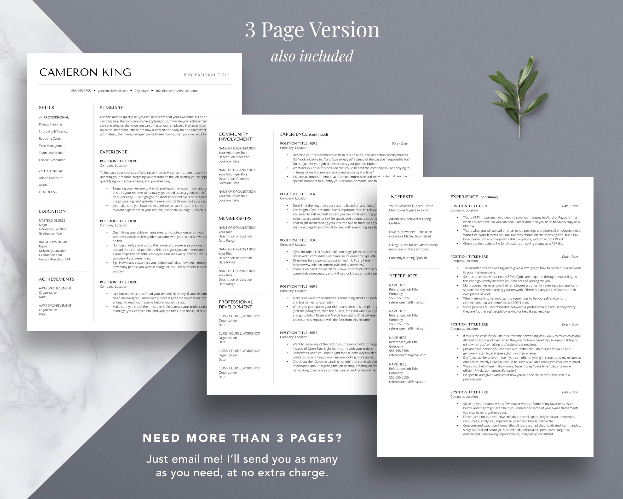 Google Docs Resume Template - The Cameron