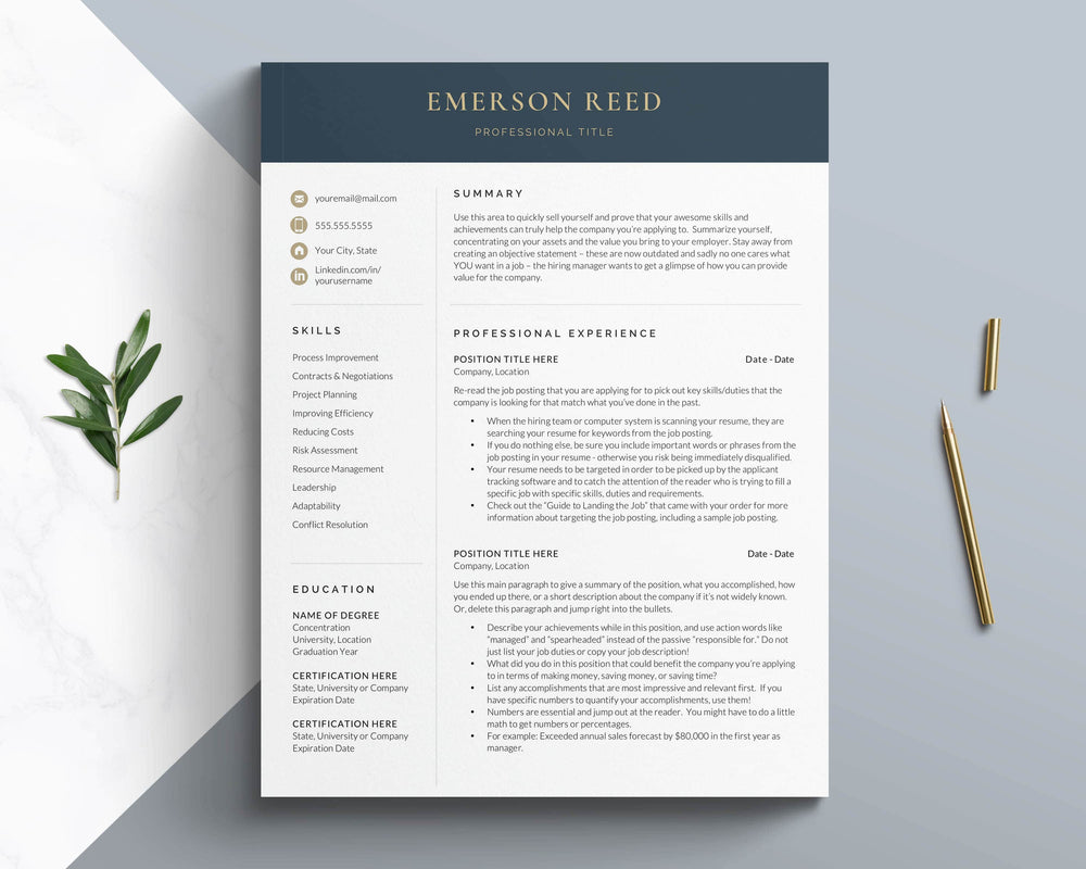 ALL Bestselling Resume Templates